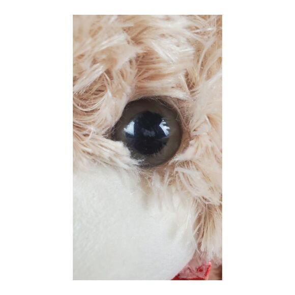 Kellytoy Valentines Day Bear w/Bow Plush Stuffed Animal Sweetheart Brown 14" - Picture 6 of 11